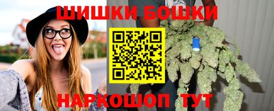 индика Нальчик