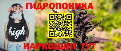 индика Нальчик